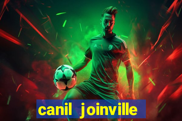 canil joinville vila nova