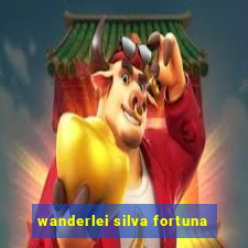 wanderlei silva fortuna