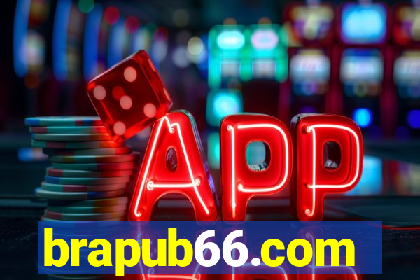 brapub66.com