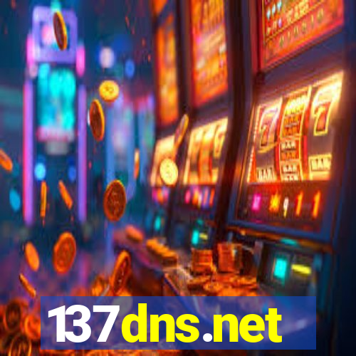 137dns.net