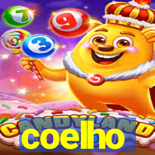 coelho-ty.com