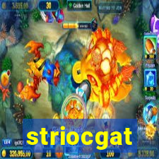 striocgat